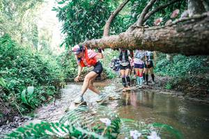 BIB: 
                            <button type="button" onclick="openModal(25477538)" class="btn btn-primary btn-sm float-right btn-popup" data-toggle="modal" data-target=".modal-high-quality">
                        <i class="fas fa-shopping-cart"></i> Add to Cart
                    </button>
                                            <button type="button" onclick="isThisMe(25477538, true)" class="btn btn-success btn-sm float-right btn-popup btn-isme hidden" data-toggle="tooltip" data-placement="bottom" title="นี่คือรูปของคุณใช่ไหม คลิกที่นี่เพื่อเอาเข้าอัลบั้ม">
                        <i class="fas fa-plus"></i> Add to album
                    </button>
                    <button type="button" onclick="isThisMe(25477538, false)" class="btn btn-warning btn-sm float-right btn-popup btn-isnotme hidden">
                        <i class="fas fa-ban"></i> Remove from album
                    </button>